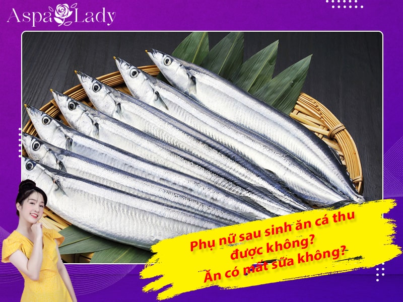 Phụ nữ sau sinh ăn cá thu được không? Ăn có mất sữa không?
