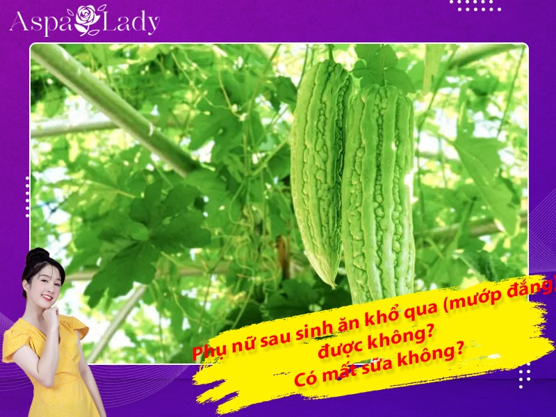 Phụ nữ sau sinh ăn khổ qua (mướp đắng) được không? Có mất sữa không?
