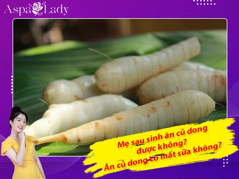 Mẹ sau sinh ăn củ dong được không? Ăn có mất sữa không?