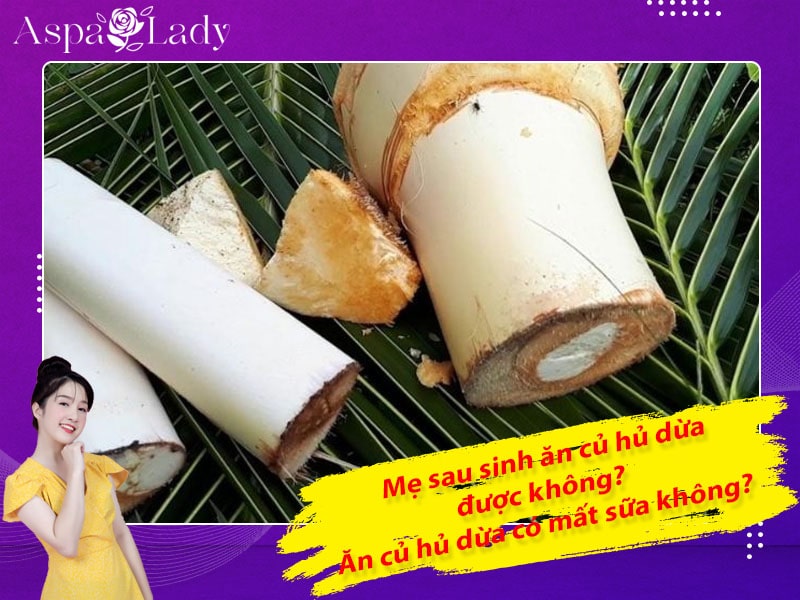 Mẹ sau sinh ăn củ hủ dừa được không? Ăn có mất sữa không?