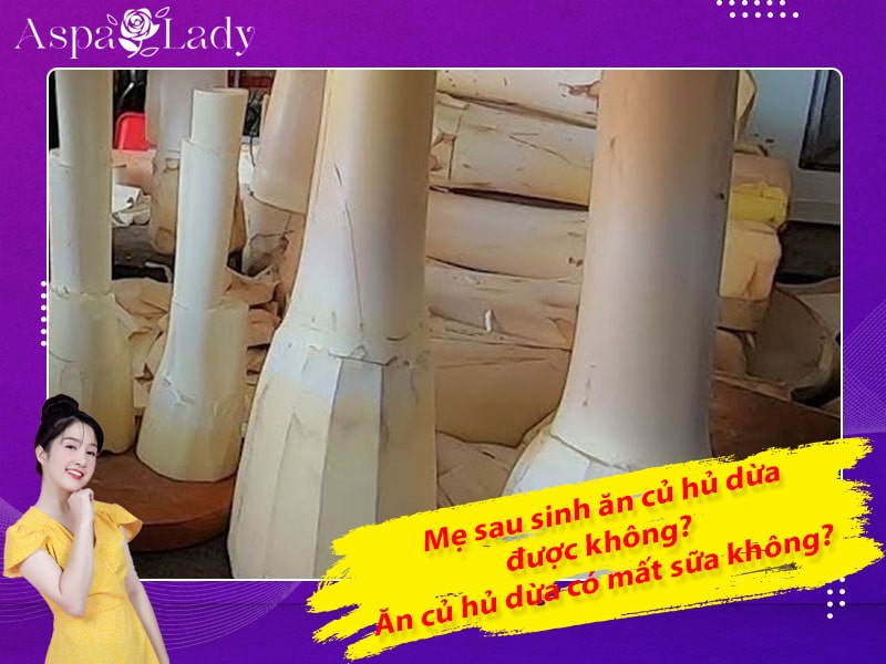 Mẹ sau sinh ăn củ hủ dừa được không? Ăn có mất sữa không?