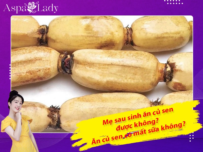 Mẹ sau sinh ăn củ sen được không? Ăn có mất sữa không?