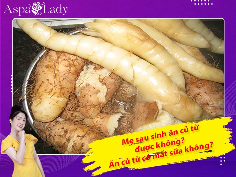 Mẹ sau sinh ăn sâm đất được không? Ăn có mất sữa không?