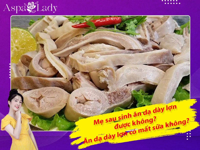 Mẹ sau sinh ăn dạ dày lợn được không? Ăn có mất sữa không?