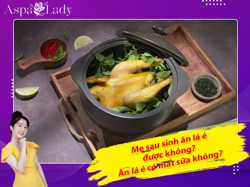Mẹ sau sinh ăn lá é được không? Ăn có mất sữa không?