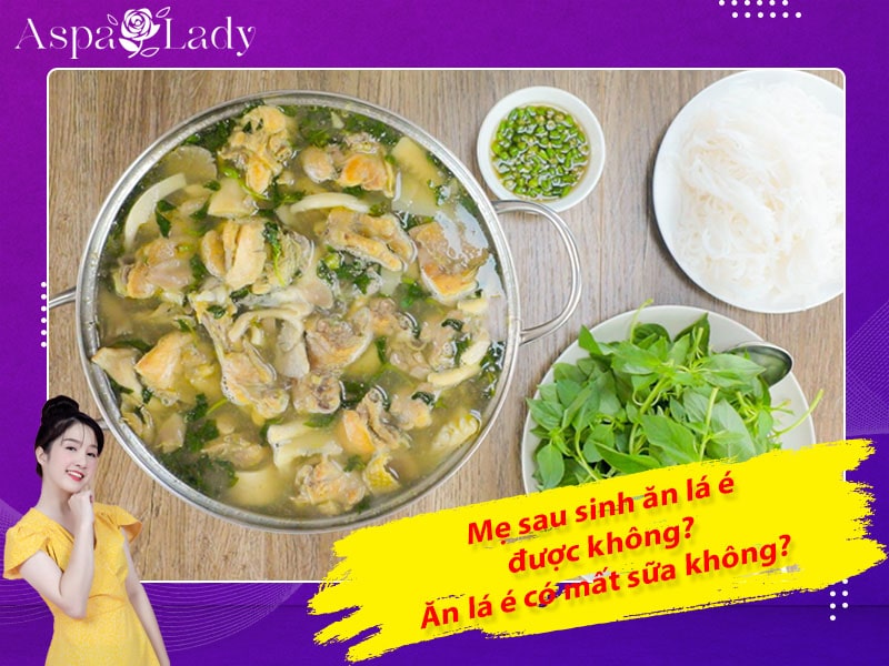 Mẹ sau sinh ăn lá é được không? Ăn có mất sữa không?