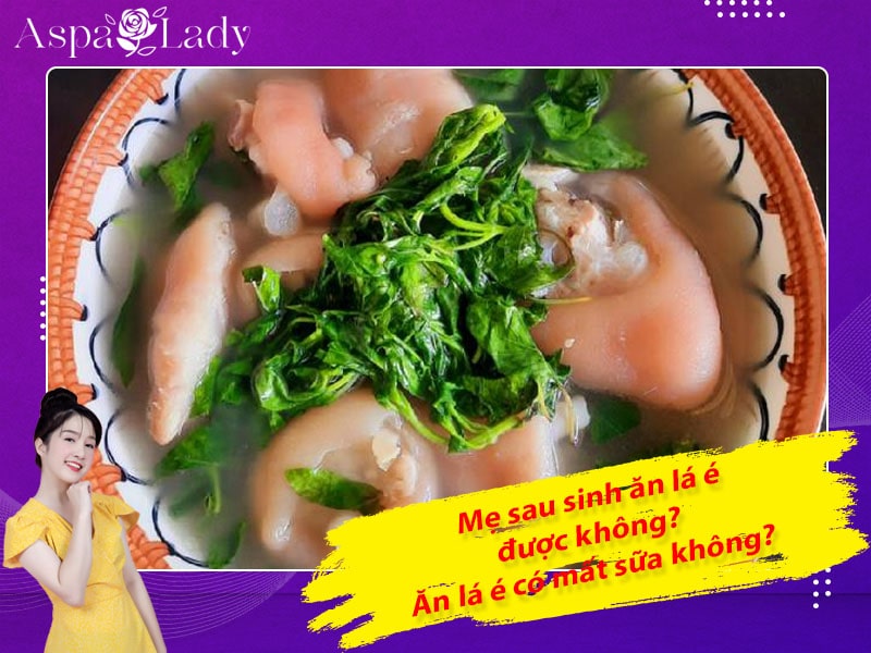 Mẹ sau sinh ăn lá é được không? Ăn có mất sữa không?