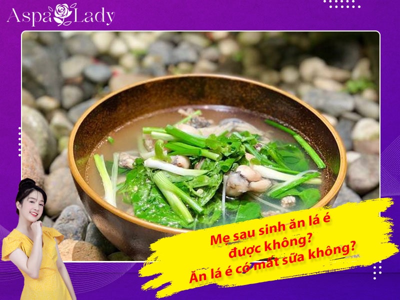 Mẹ sau sinh ăn lá é được không? Ăn có mất sữa không?