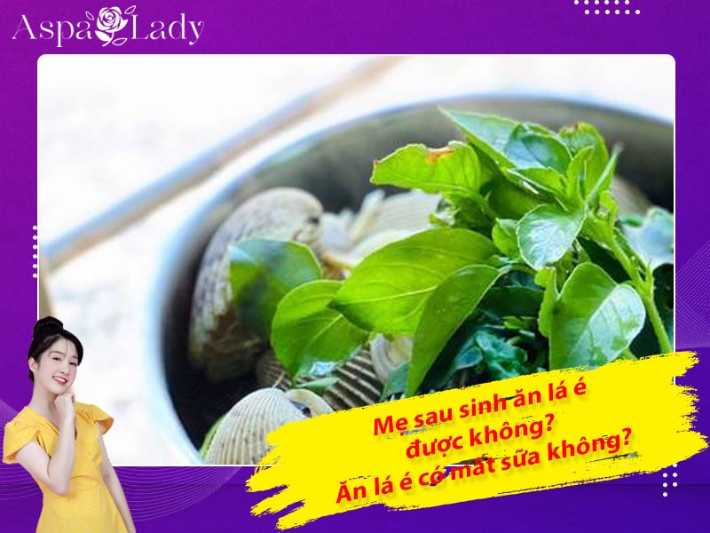 Mẹ sau sinh ăn lá é được không? Ăn có mất sữa không?