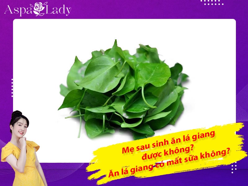 Mẹ sau sinh ăn lá giang được không? Ăn có mất sữa không?