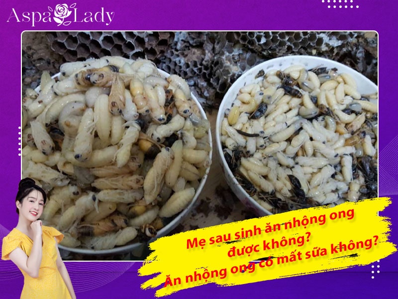 Mẹ sau sinh ăn nhộng ong được không? Ăn có mất sữa không?