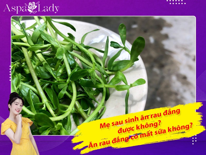 Mẹ sau sinh ăn rau đắng được không? Ăn có mất sữa không?
