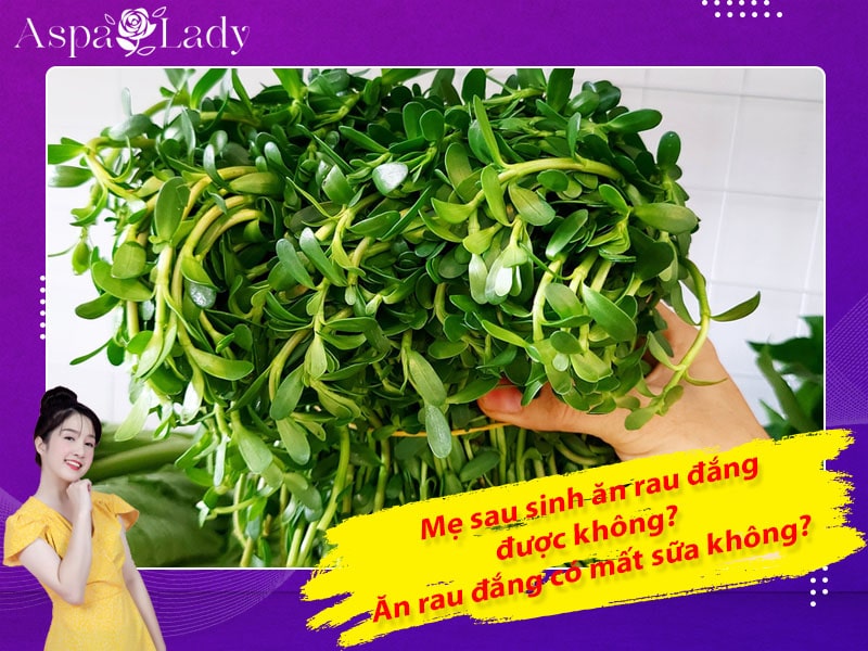 Mẹ sau sinh ăn rau đắng được không? Ăn có mất sữa không?