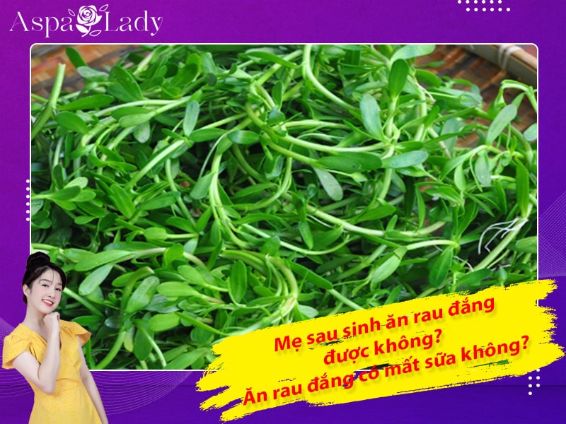 Mẹ sau sinh ăn rau đắng được không? Ăn có mất sữa không?