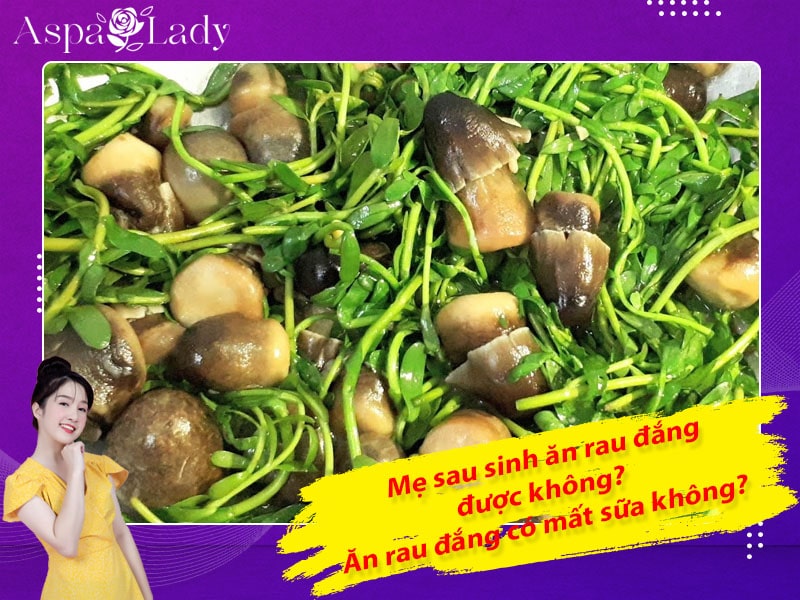 Mẹ sau sinh ăn rau đắng được không? Ăn có mất sữa không?