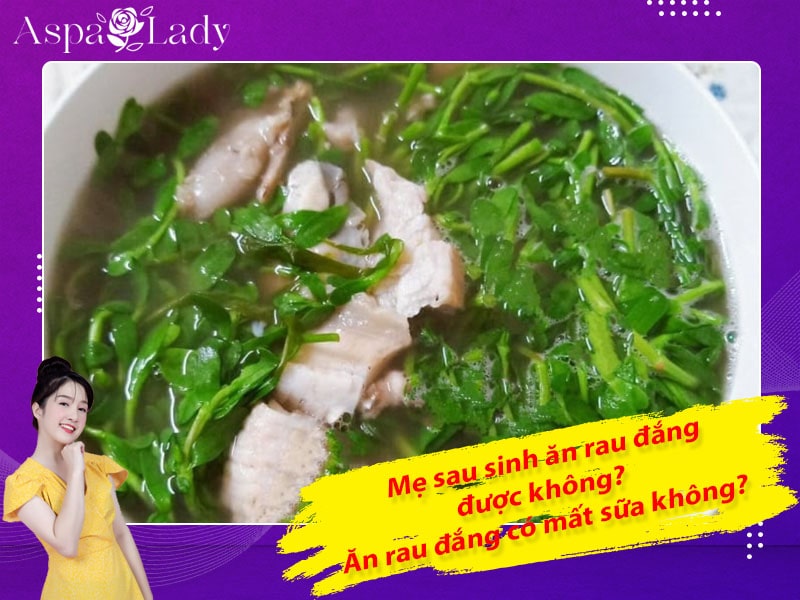 Mẹ sau sinh ăn rau đắng được không? Ăn có mất sữa không?