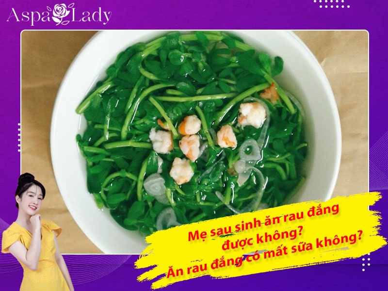 Mẹ sau sinh ăn rau đắng được không? Ăn có mất sữa không?