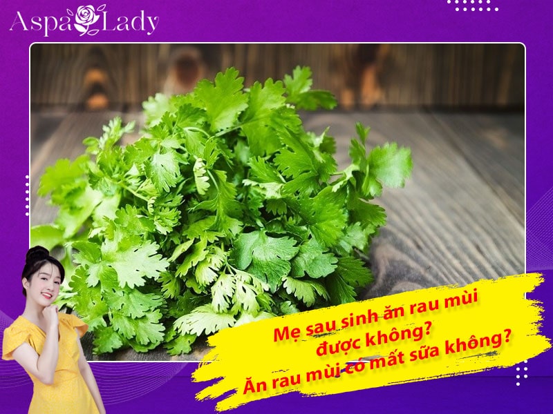 Mẹ sau sinh ăn rau mùi được không? Ăn có mất sữa không?