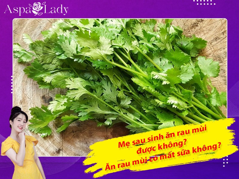 Mẹ sau sinh ăn rau mùi được không? Ăn có mất sữa không?