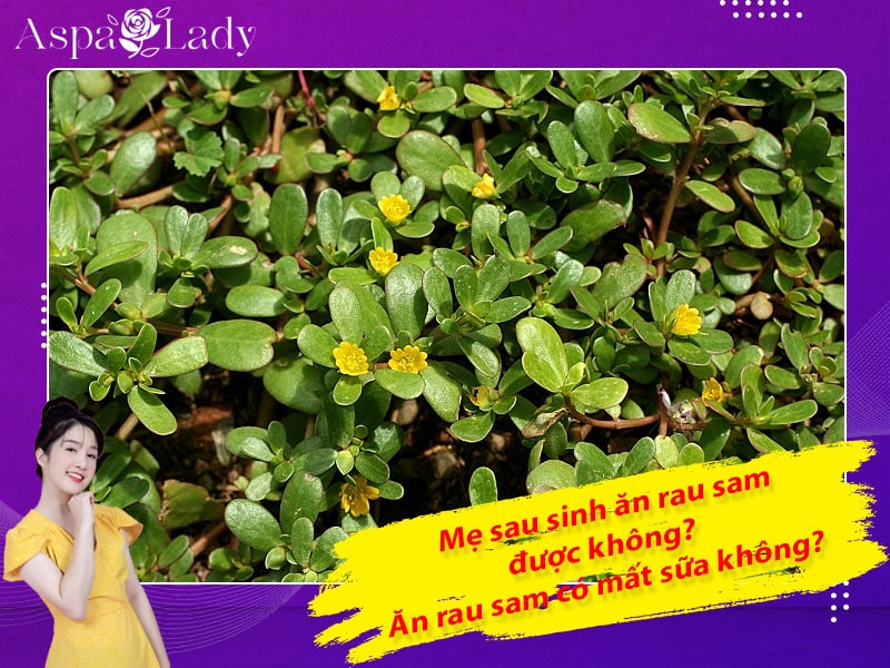 Mẹ sau sinh ăn rau sam được không? Ăn có mất sữa không?