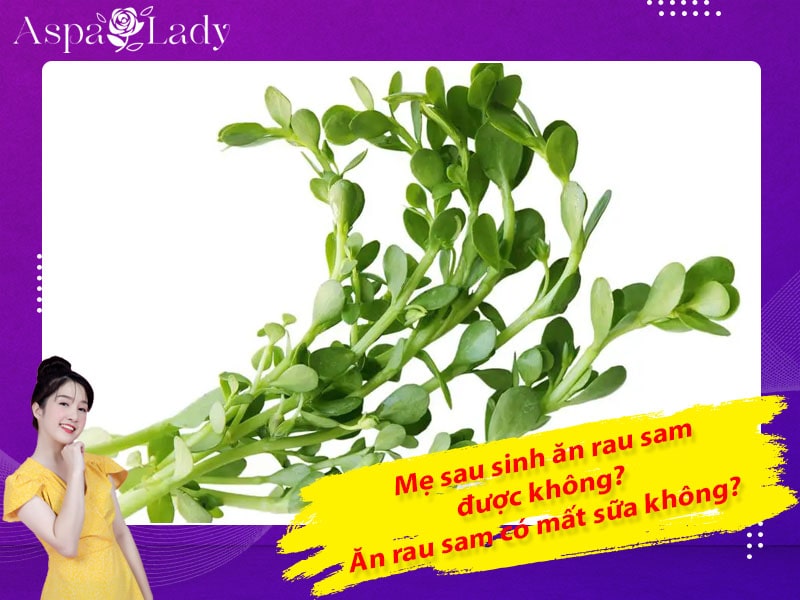 Mẹ sau sinh ăn rau sam được không? Ăn có mất sữa không?