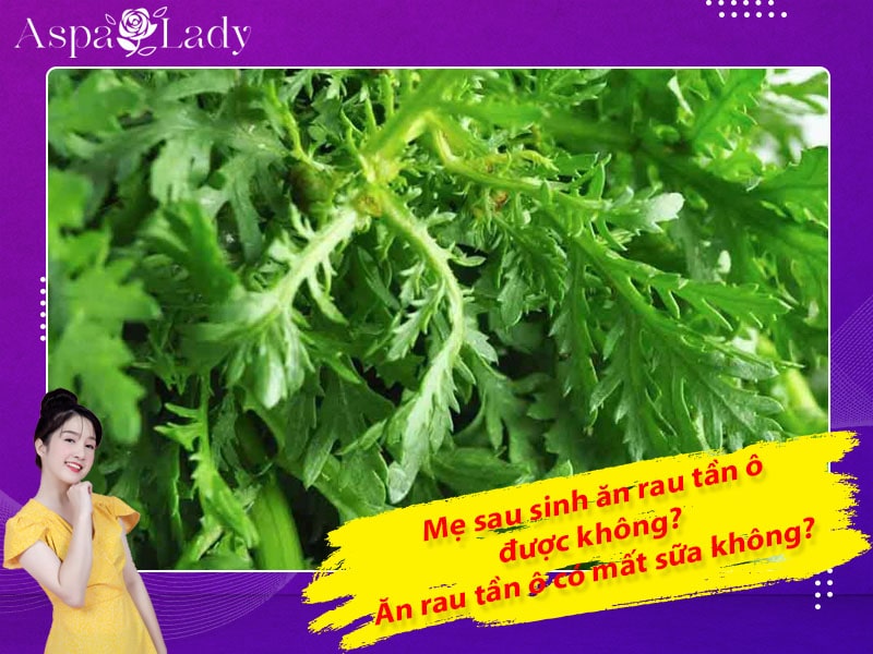 Mẹ sau sinh có ăn được rau tần ô không? Ăn có mất sữa không?