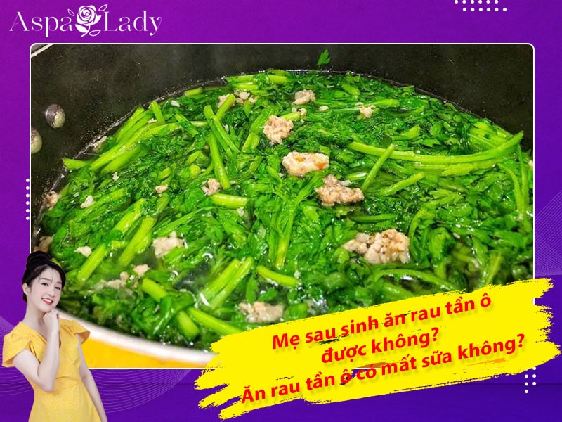 Mẹ sau sinh có ăn được rau tần ô không? Ăn có mất sữa không?