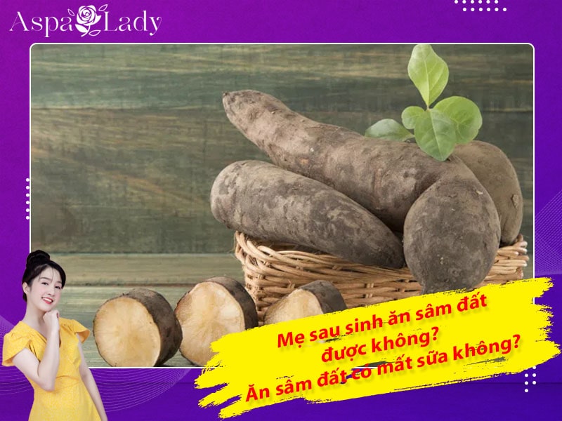 Mẹ sau sinh ăn sâm đất được không? Ăn có mất sữa không?