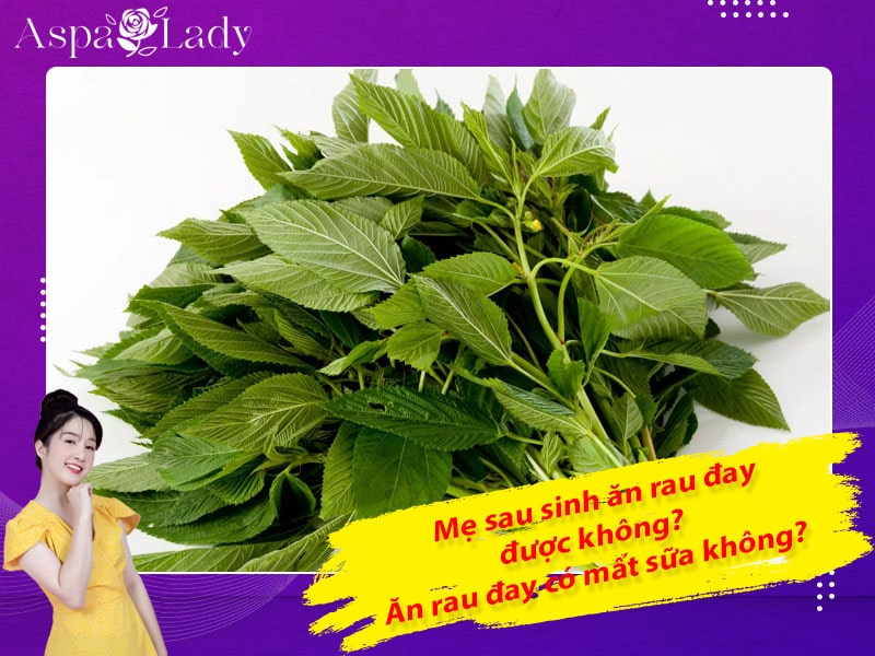 Mẹ sau sinh ăn rau đay được không? Ăn có mất sữa không?