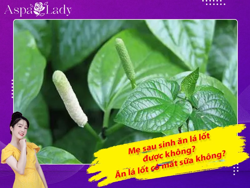 Mẹ sau sinh ăn lá lốt được không? Ăn có mất sữa không?