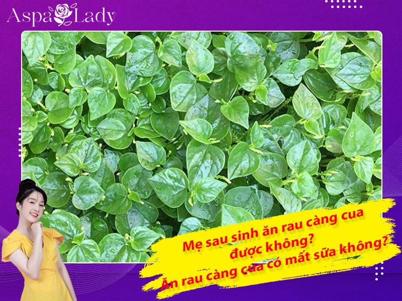 Mẹ sau sinh ăn rau càng cua được không? Ăn có mất sữa không?