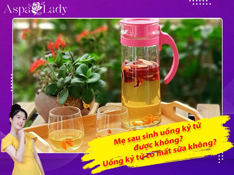 Mẹ sau sinh uống kỷ tử được không? Uống có mất sữa không?