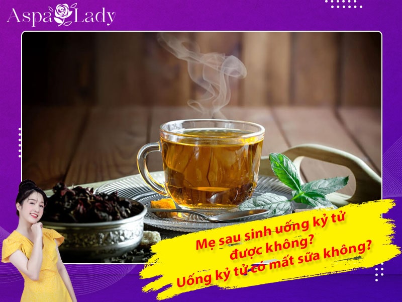 Mẹ sau sinh uống kỷ tử được không? Uống có mất sữa không?
