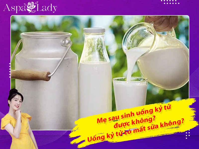 Mẹ sau sinh uống kỷ tử được không? Uống có mất sữa không?