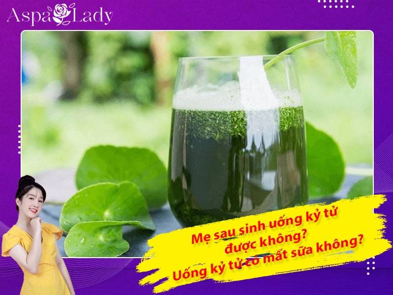 Mẹ sau sinh uống kỷ tử được không? Uống có mất sữa không?