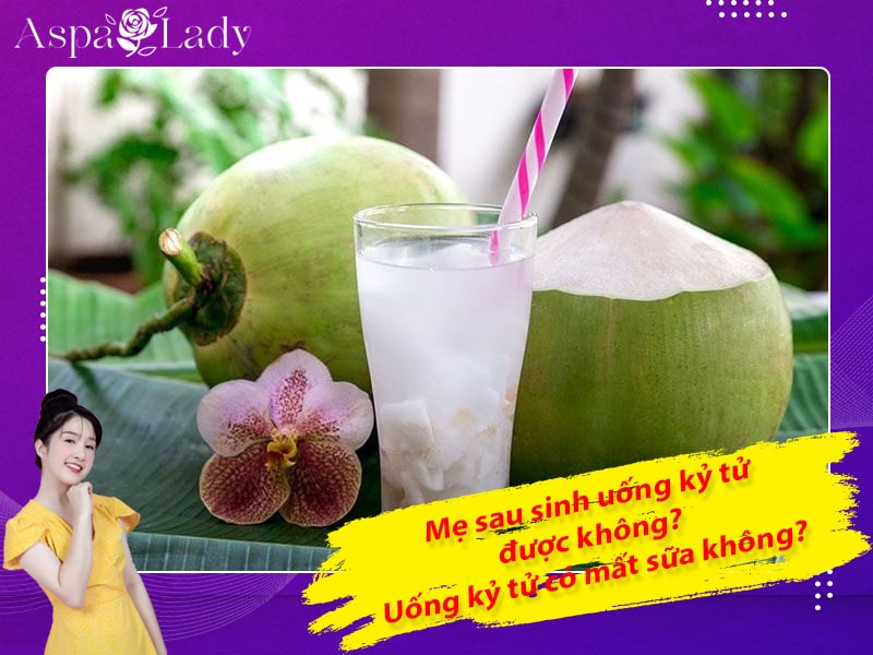 Mẹ sau sinh uống kỷ tử được không? Uống có mất sữa không?