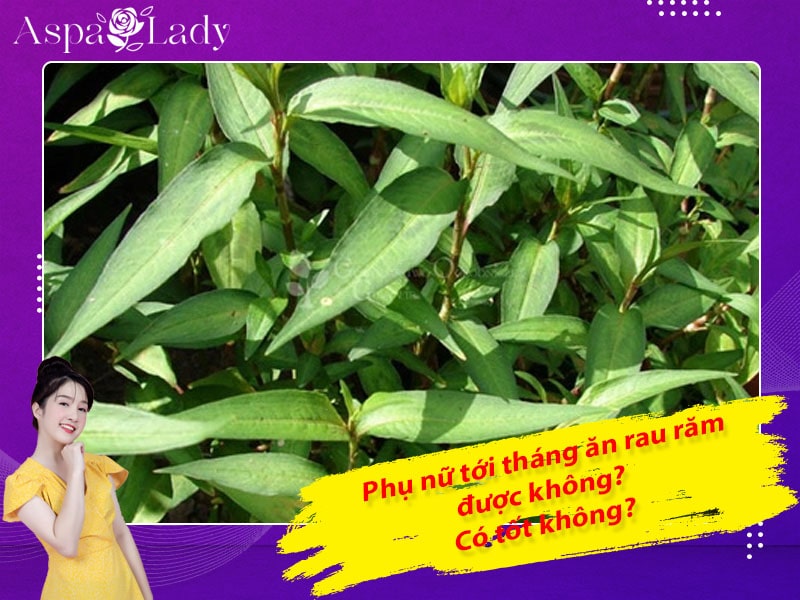 Tới tháng ăn rau răm có sao không? Có làm ngưng kinh nguyệt?