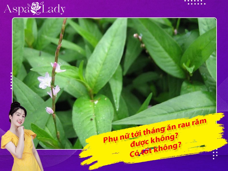 Tới tháng ăn rau răm có sao không? Có làm ngưng kinh nguyệt?