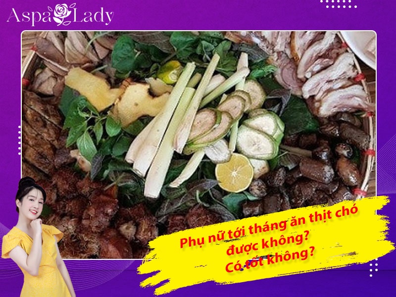 Tới tháng ăn thịt chó được không? Cần chú ý gì khi ăn?