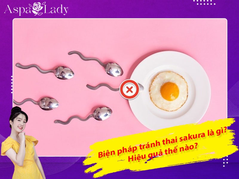 Biện pháp tránh thai sakura là gì? Hiệu quả thế nào?