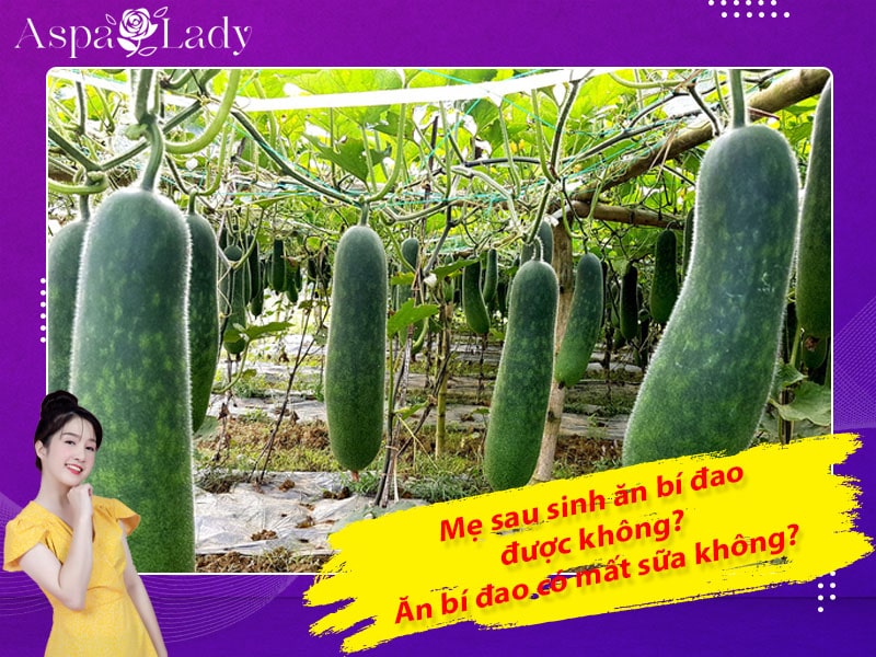 Mẹ sau sinh ăn bí đao được không? Uống có mất sữa không?