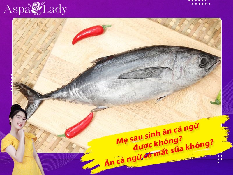 Mẹ sau sinh ăn cá ngừ được không? ăn có mất sữa không?