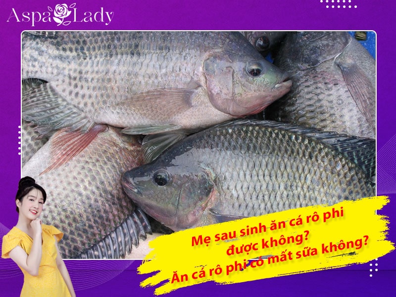 Mẹ sau sinh ăn cá rô phi được không? ăn có mất sữa không?