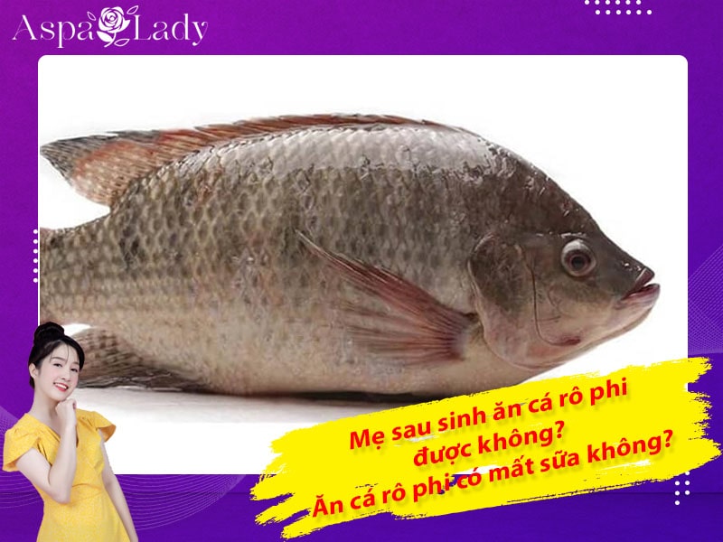 Mẹ sau sinh ăn cá rô phi được không? ăn có mất sữa không?