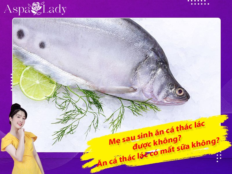 Mẹ sau sinh ăn cá thác lác được không? ăn có mất sữa không?