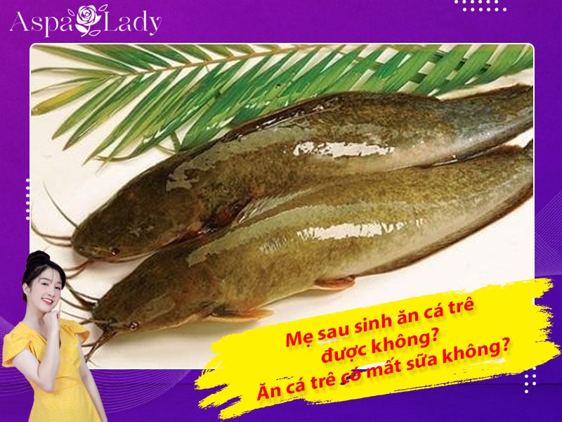 Mẹ sau sinh ăn cá trê được không? ăn có mất sữa không?
