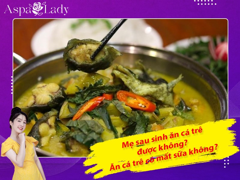Mẹ sau sinh ăn cá trê được không? ăn có mất sữa không?