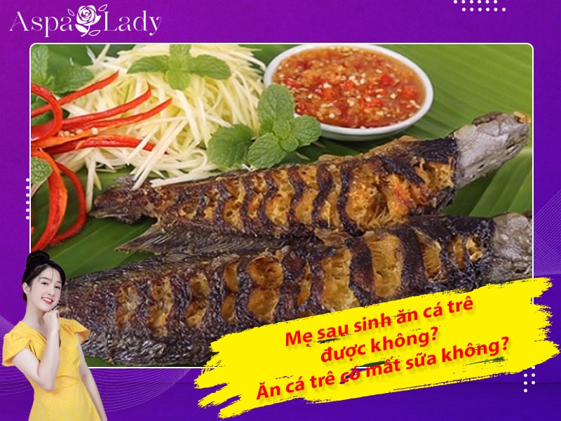 Mẹ sau sinh ăn cá trê được không? ăn có mất sữa không?