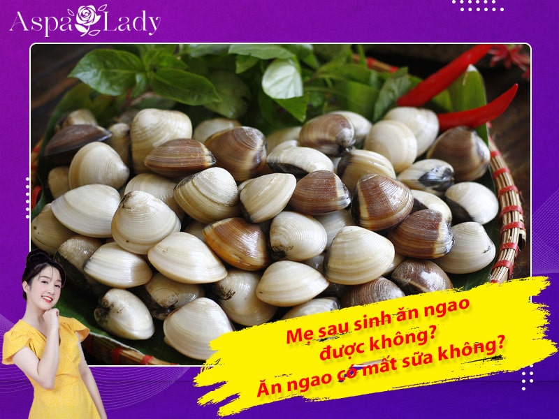 Mẹ sau sinh ăn ngao được không? Uống có mất sữa không?