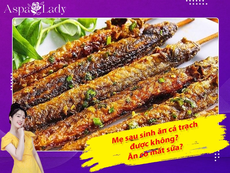 Mẹ sau sinh có ăn được cá chạch không? Ăn có mất sữa?